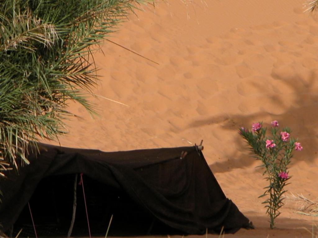Auberge Africa Merzouga Quarto foto